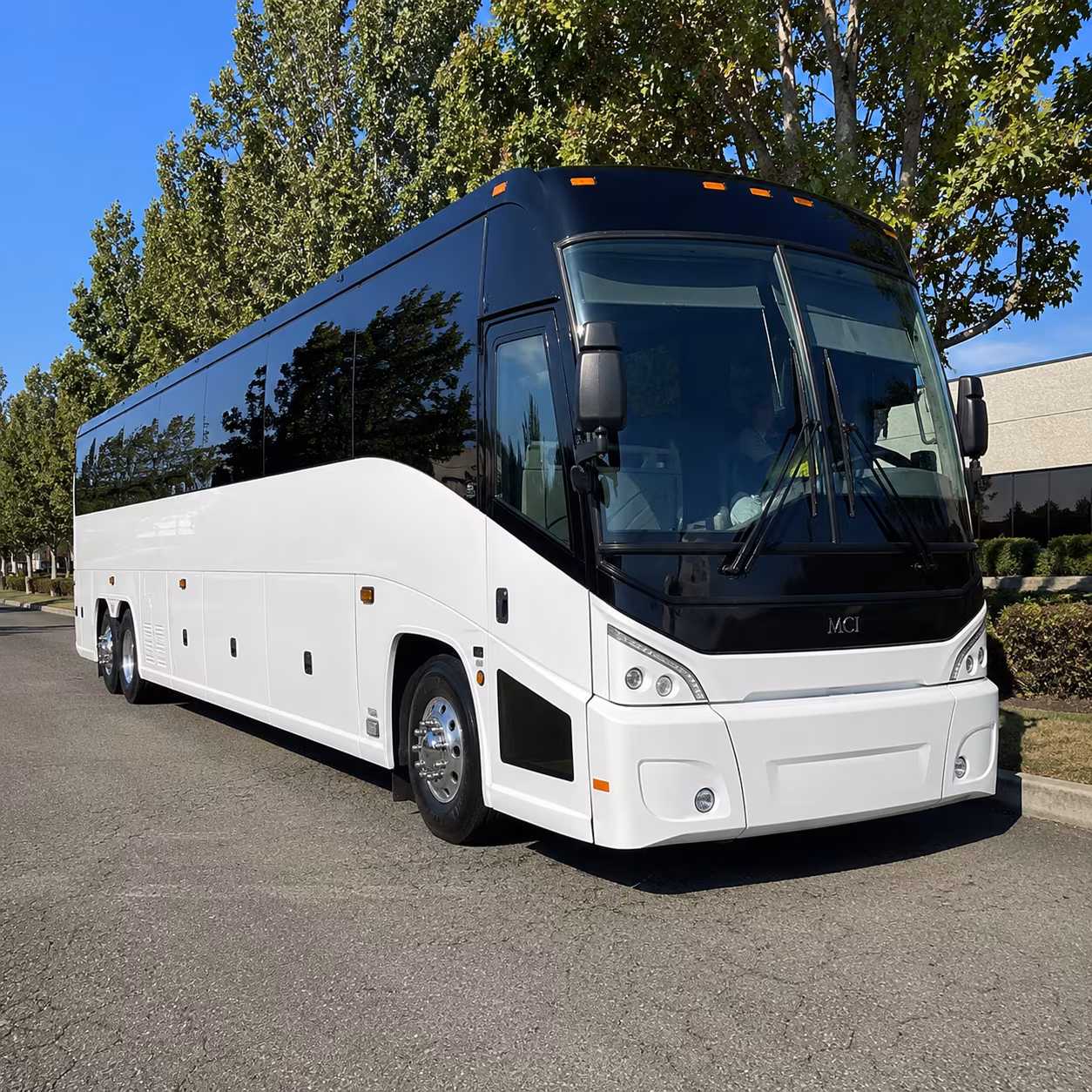 mission viejo 50 passenger charter bus